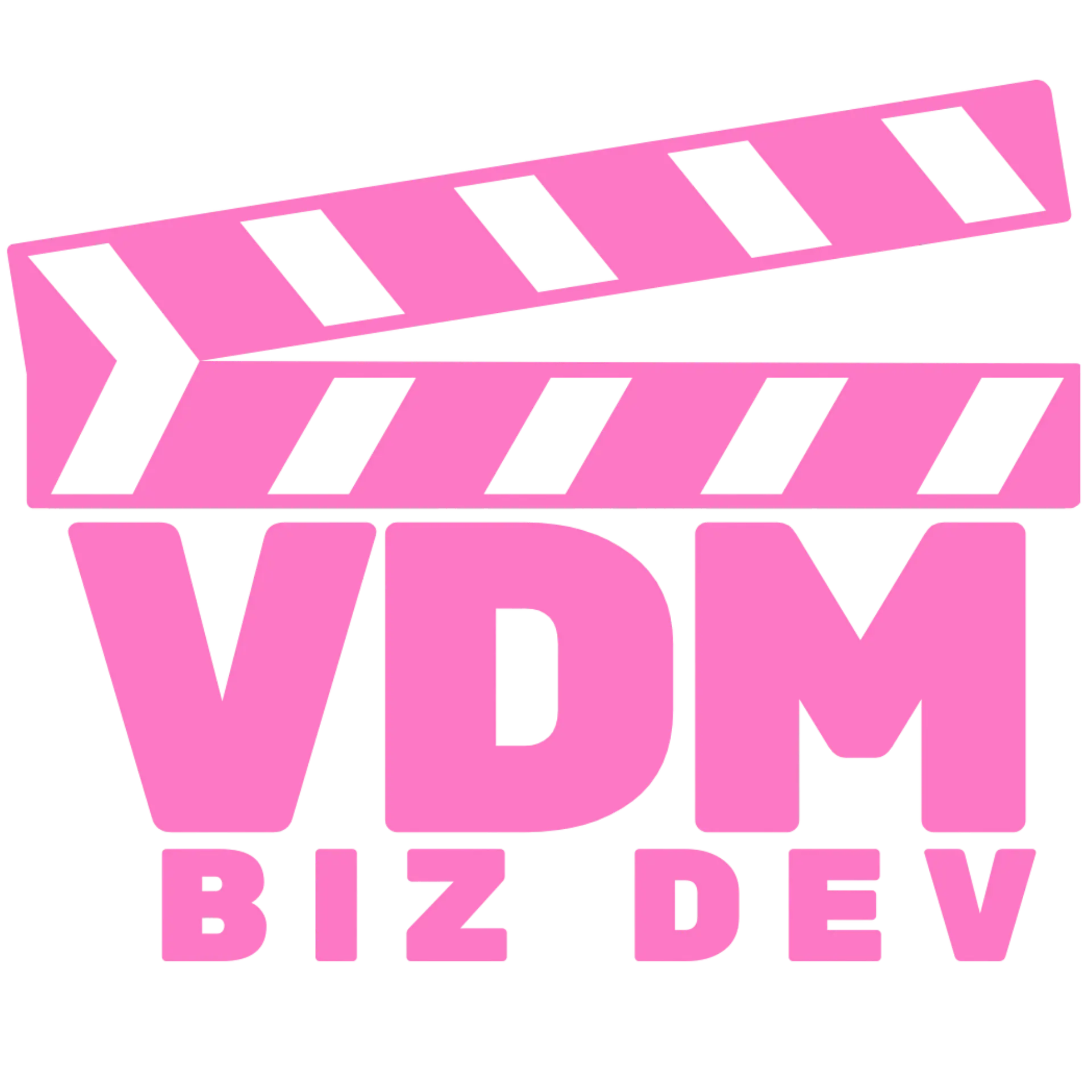 VDM logo pink
